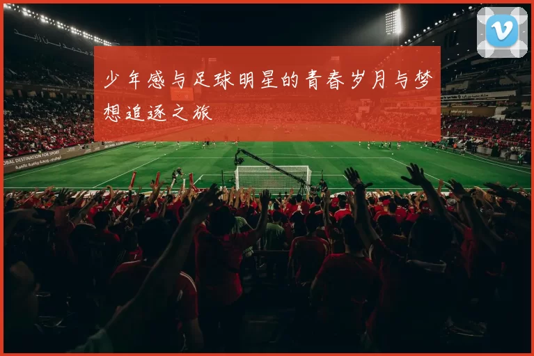 少年感与足球明星的青春岁月与梦想追逐之旅
