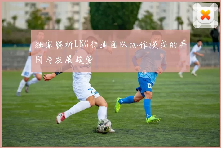独家解析LNG行业团队协作模式的异同与发展趋势