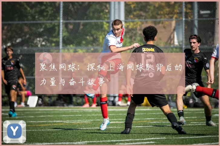聚焦网球：探秘上海网球队背后的力量与奋斗故事