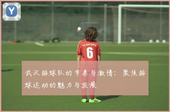 武汉排球队的节奏与激情：聚焦排球运动的魅力与发展