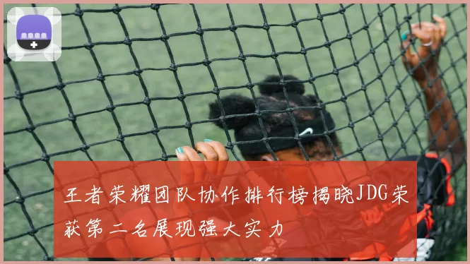 王者荣耀团队协作排行榜揭晓JDG荣获第二名展现强大实力