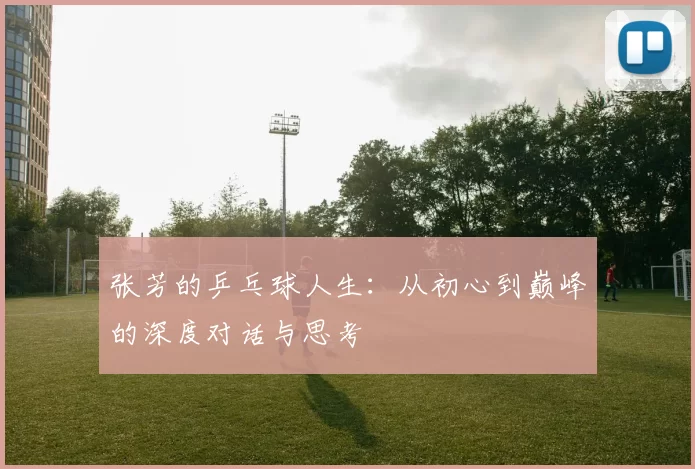 张芳的乒乓球人生：从初心到巅峰的深度对话与思考