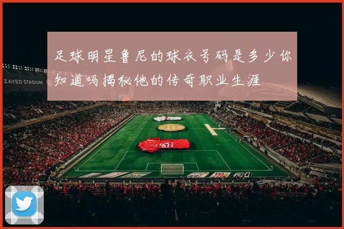 足球明星鲁尼的球衣号码是多少你知道吗揭秘他的传奇职业生涯