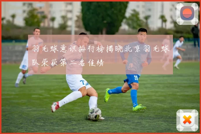 羽毛球意识排行榜揭晓北京羽毛球队荣获第二名佳绩