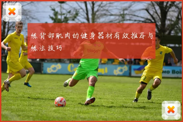 练背部肌肉的健身器材有效推荐与练法技巧
