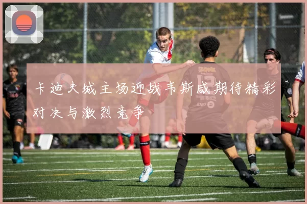 卡迪夫城主场迎战韦斯咸期待精彩对决与激烈竞争