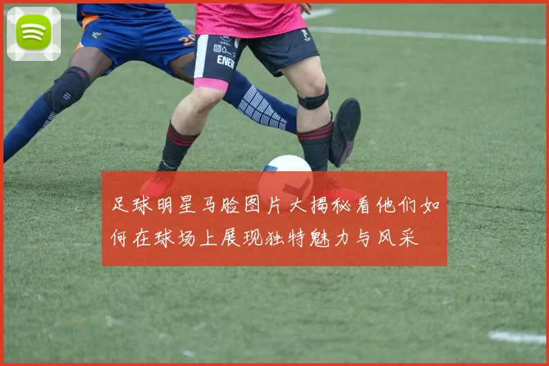 足球明星马脸图片大揭秘看他们如何在球场上展现独特魅力与风采