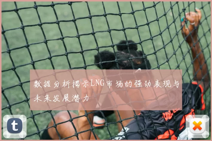 数据分析揭示LNG市场的强劲表现与未来发展潜力