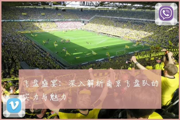 飞盘盛宴：深入解析南京飞盘队的实力与魅力