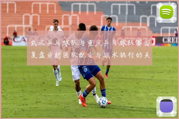 武汉乒乓球队与重庆乒乓球队赛后复盘分析团队配合与战术执行的关键要素