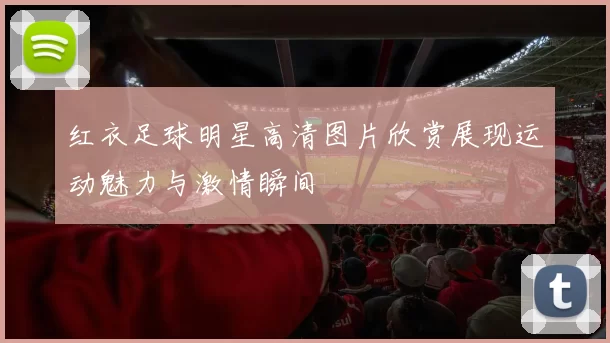 红衣足球明星高清图片欣赏展现运动魅力与激情瞬间