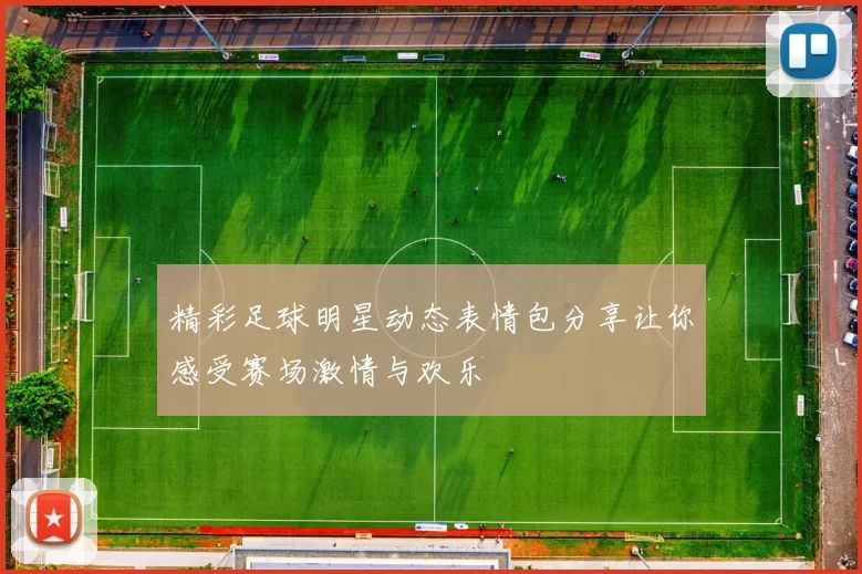 精彩足球明星动态表情包分享让你感受赛场激情与欢乐