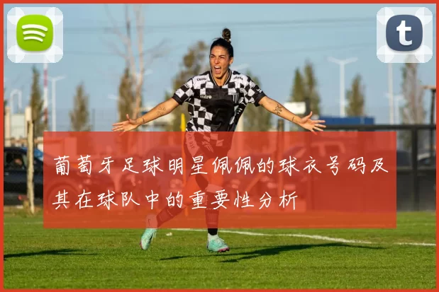 葡萄牙足球明星佩佩的球衣号码及其在球队中的重要性分析