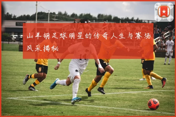山羊胡足球明星的传奇人生与赛场风采揭秘