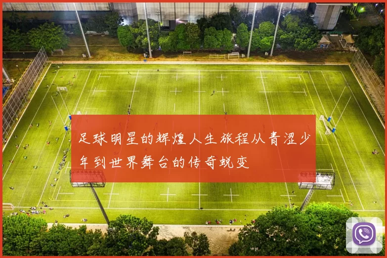 足球明星的辉煌人生旅程从青涩少年到世界舞台的传奇蜕变