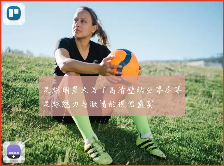 足球明星大马丁高清壁纸分享尽享足球魅力与激情的视觉盛宴