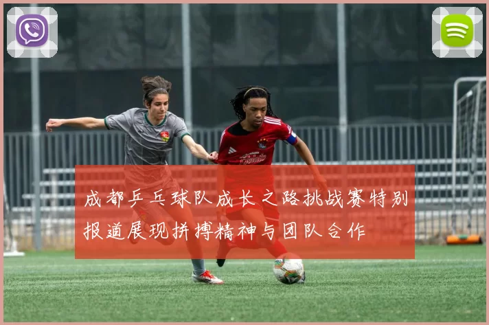 成都乒乓球队成长之路挑战赛特别报道展现拼搏精神与团队合作