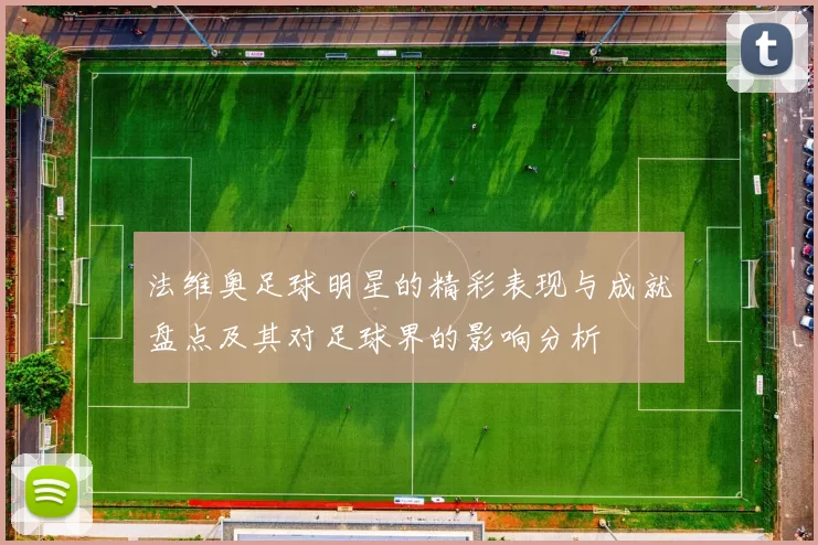 法维奥足球明星的精彩表现与成就盘点及其对足球界的影响分析