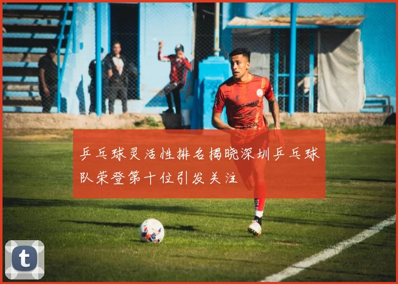 乒乓球灵活性排名揭晓深圳乒乓球队荣登第十位引发关注