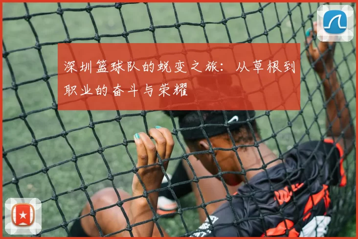 深圳篮球队的蜕变之旅：从草根到职业的奋斗与荣耀