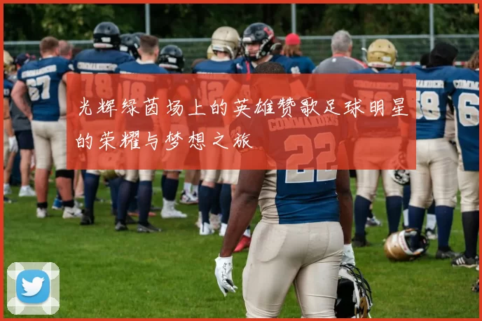光辉绿茵场上的英雄赞歌足球明星的荣耀与梦想之旅