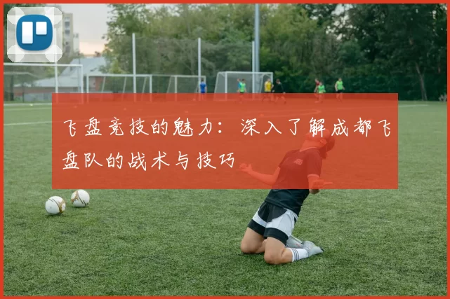 飞盘竞技的魅力：深入了解成都飞盘队的战术与技巧