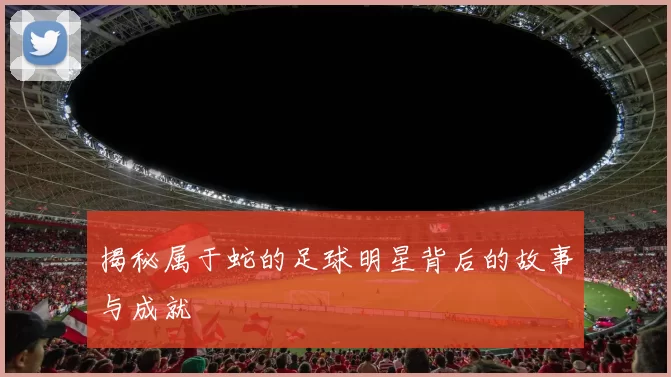 揭秘属于蛇的足球明星背后的故事与成就