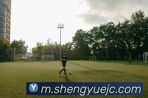 未来规划